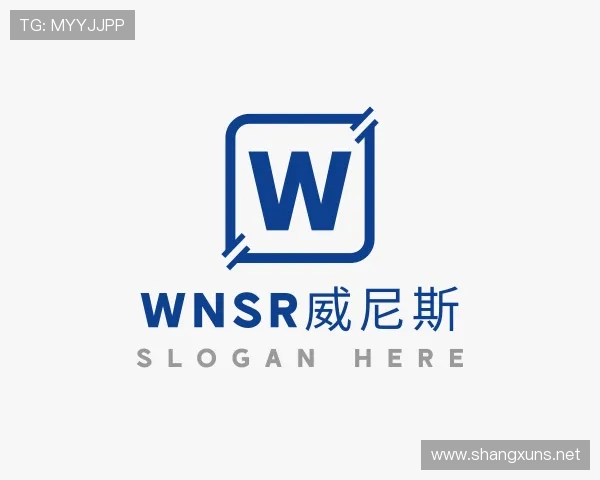 解读wnsr威尼斯