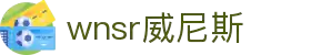 wnsr威尼斯(中国)股份有限公司